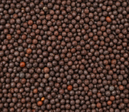 Black Mustard Seeds