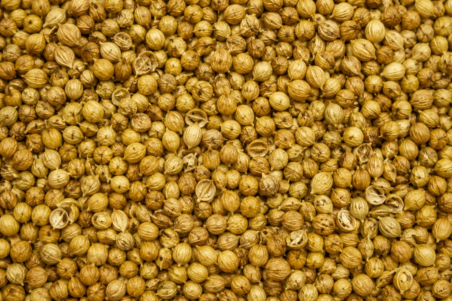 Coriander Seeds Mixed