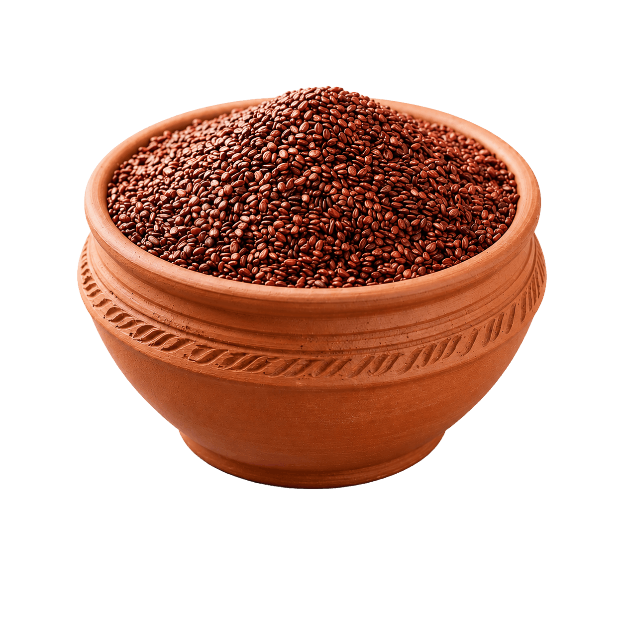 Sain Agro Product 4