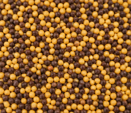 Mixed Mustard Seeds