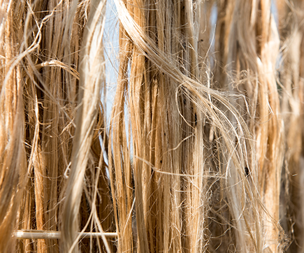 Wholesale Raw Jute