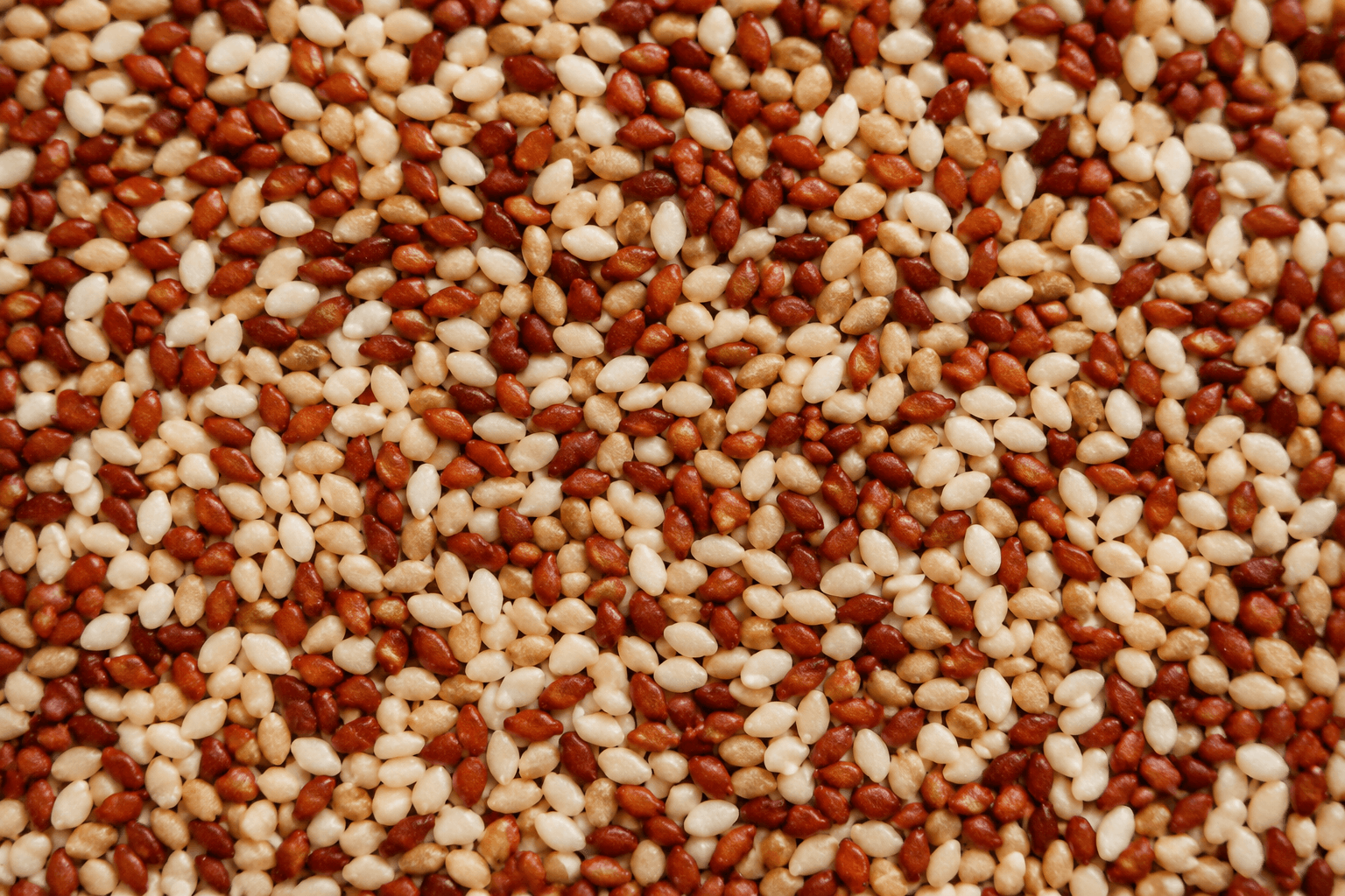 Sesame Seeds Mixed