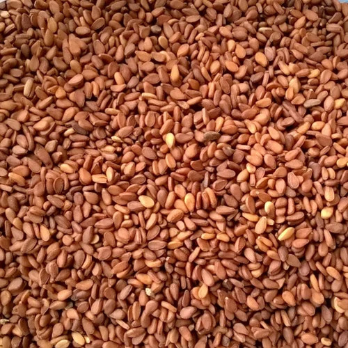 Wholesale Sesame Seeds