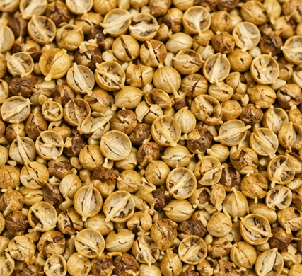 Coriander Seeds Mixed