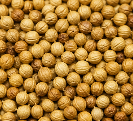 Whole Coriander Seeds