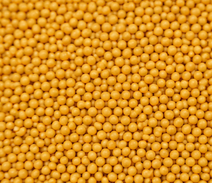 Yellow Mustard Seeds